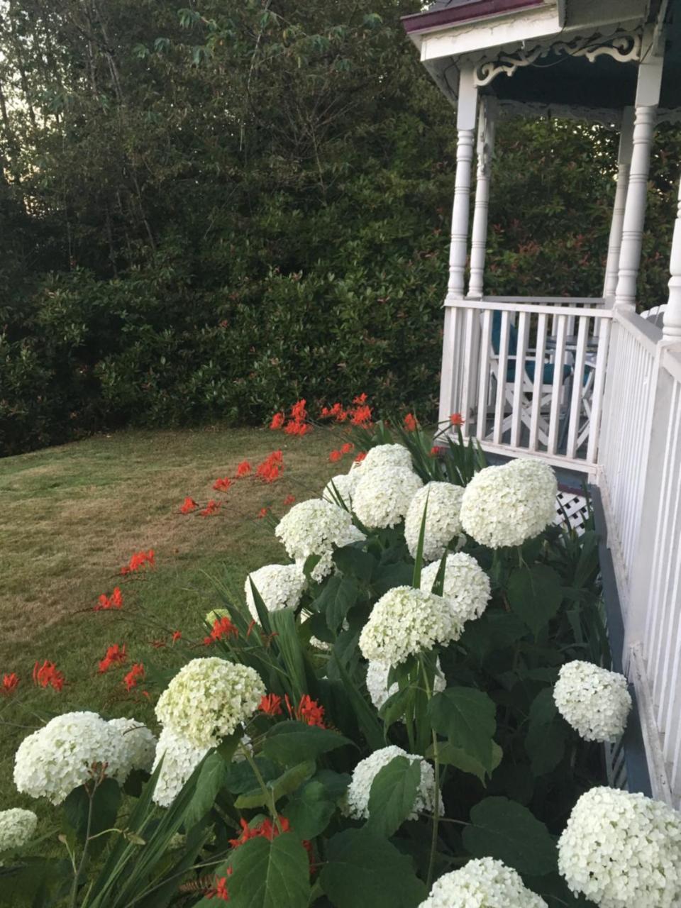 Tayberry Cottage Puyallup Zewnętrze zdjęcie